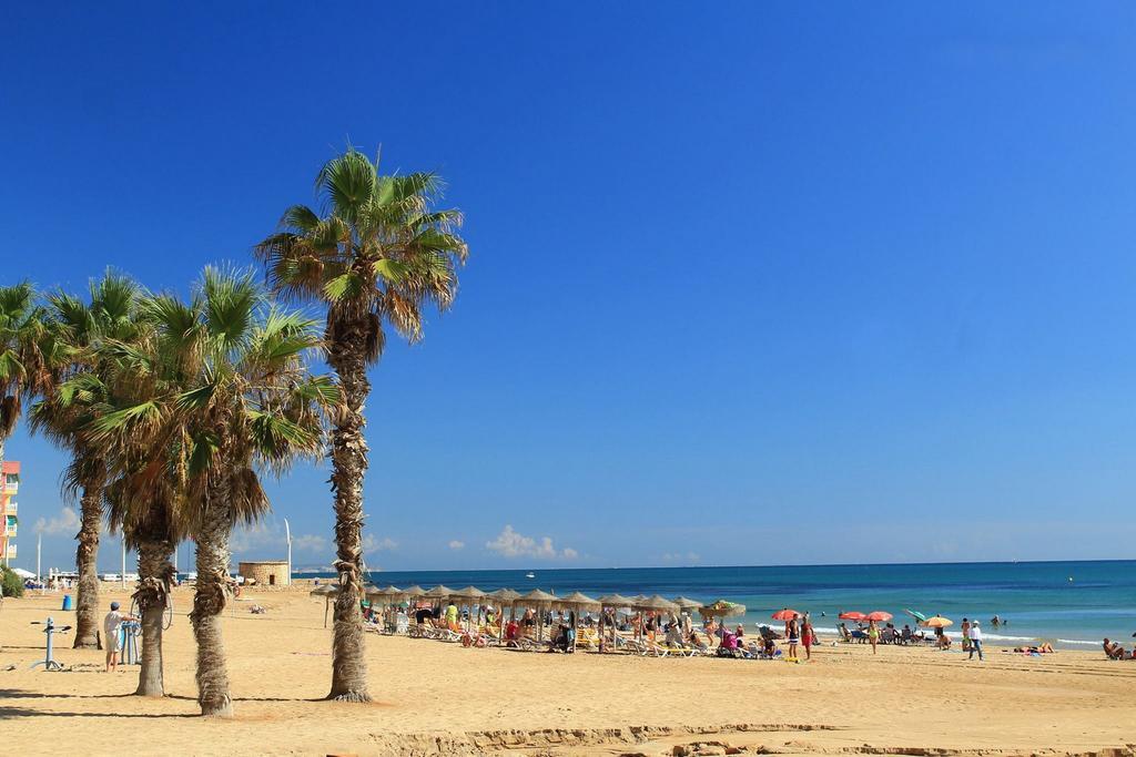 Apartamento La Siesta Torrevieja Habitación foto